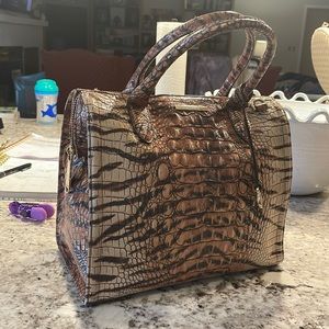 Large Brahmin Handbag